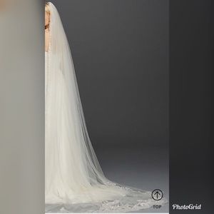 Cathedral length wedding Veil
